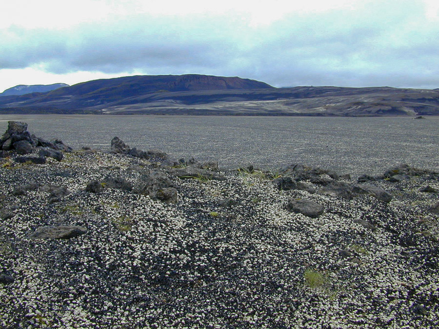 Bimsstein Hekla