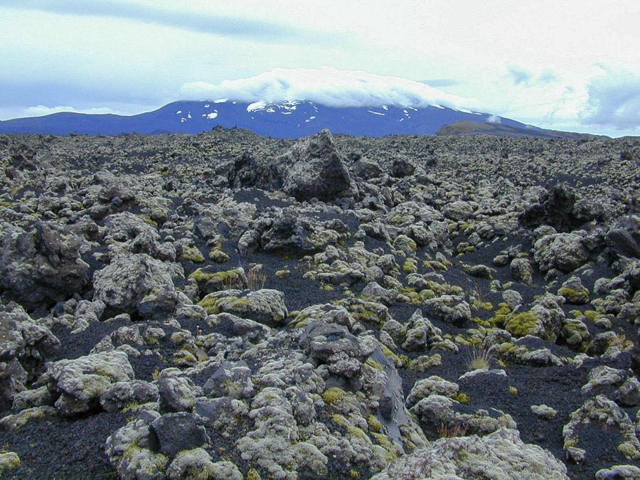 Hekla Lavafeld