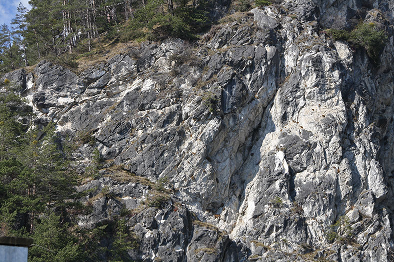 Kalvareinberg Störung