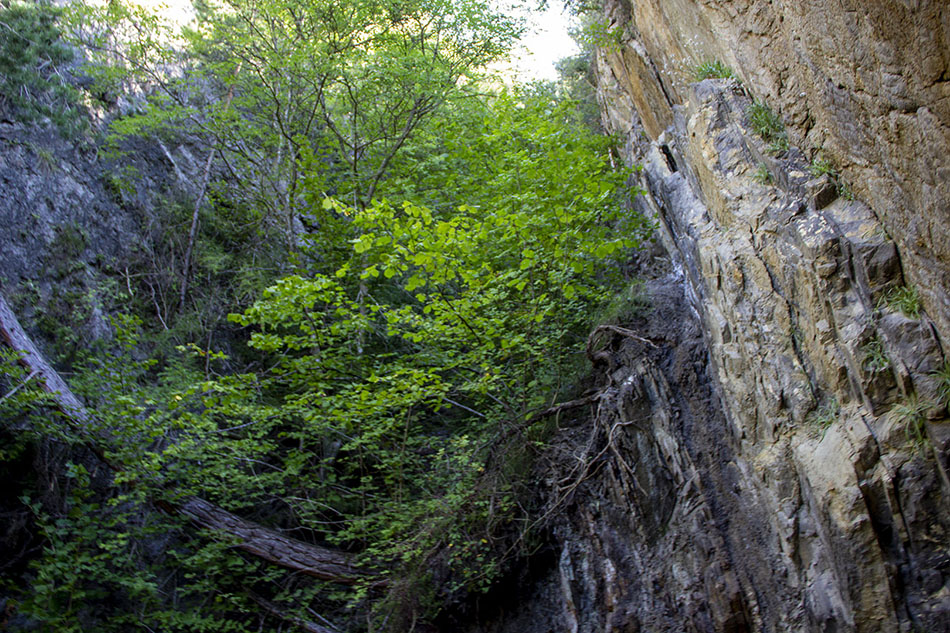 Mudstones